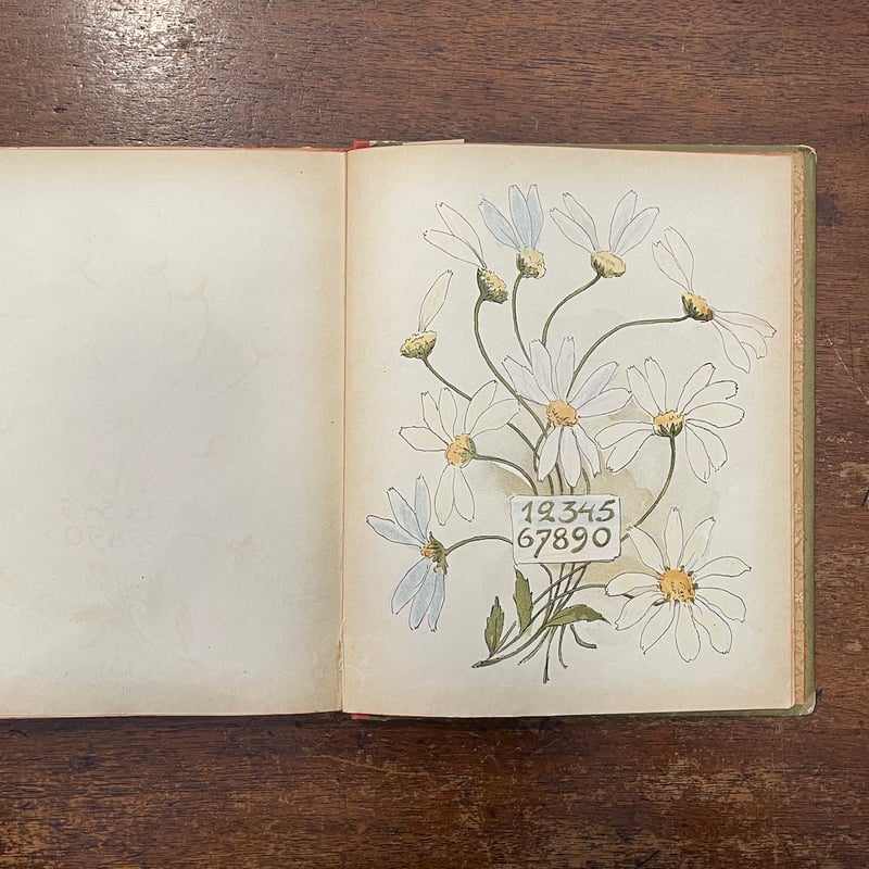 PRINSARNES BLOMSTERALFABET（1901年／リトグラフ）」Ottili