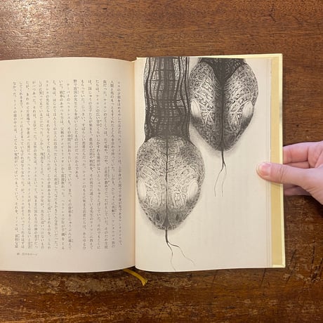 「金色の影」レオン・ガーフィールド　エドワード・ブリッシェン 作　沢登君恵 訳　チャールズ・キーピング 絵