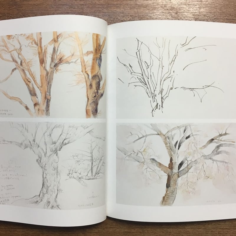 PROCESSUS いせひでこ作品集」いせひでこ | Frobergue online s