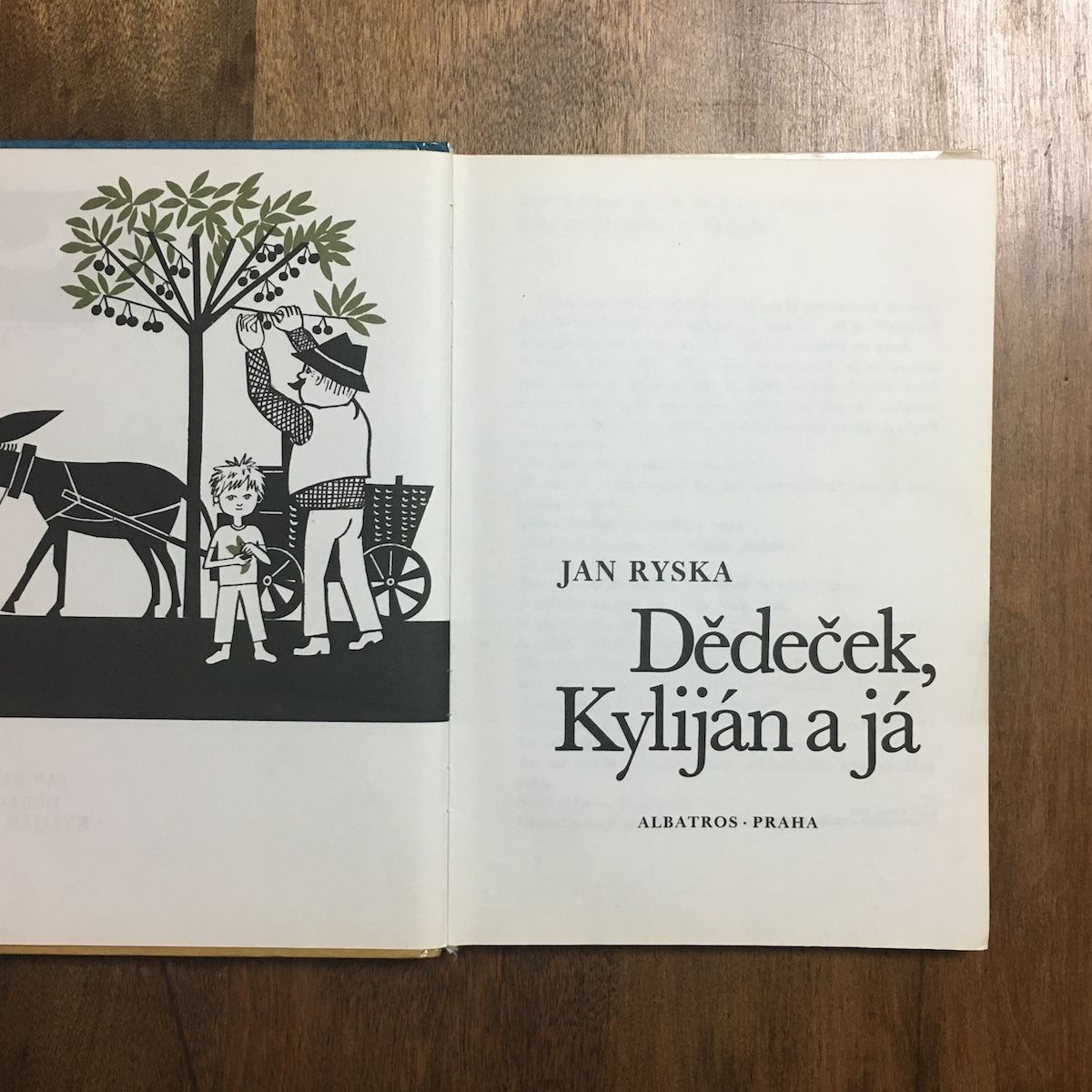 レギーナ・アルテールの版画 レギーナ・アルテールの版画