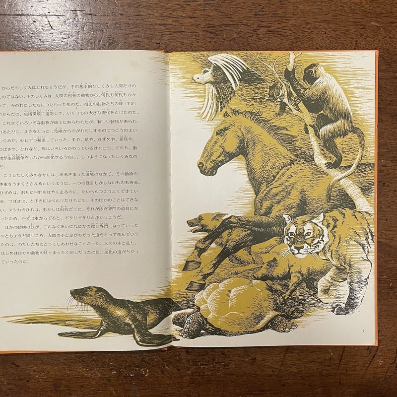 ひれから手へ」アンソニー・ラビエリ | Frobergue online store