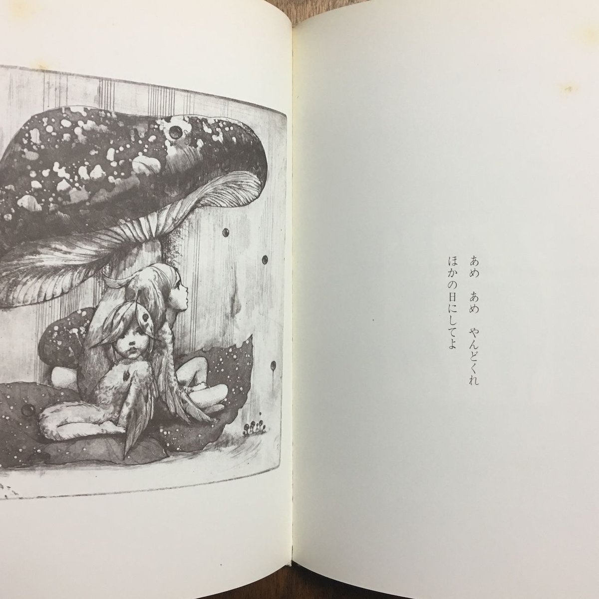失われた庭　矢川澄子　初版　サイン　署名 失われた庭 矢川澄子 初版 サイン 署名