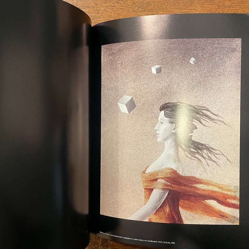 binette schroeder 　ビネット・シュローダーの芸術 THE ART OF BINETTE SCHROEDER」 | Frobergue onl