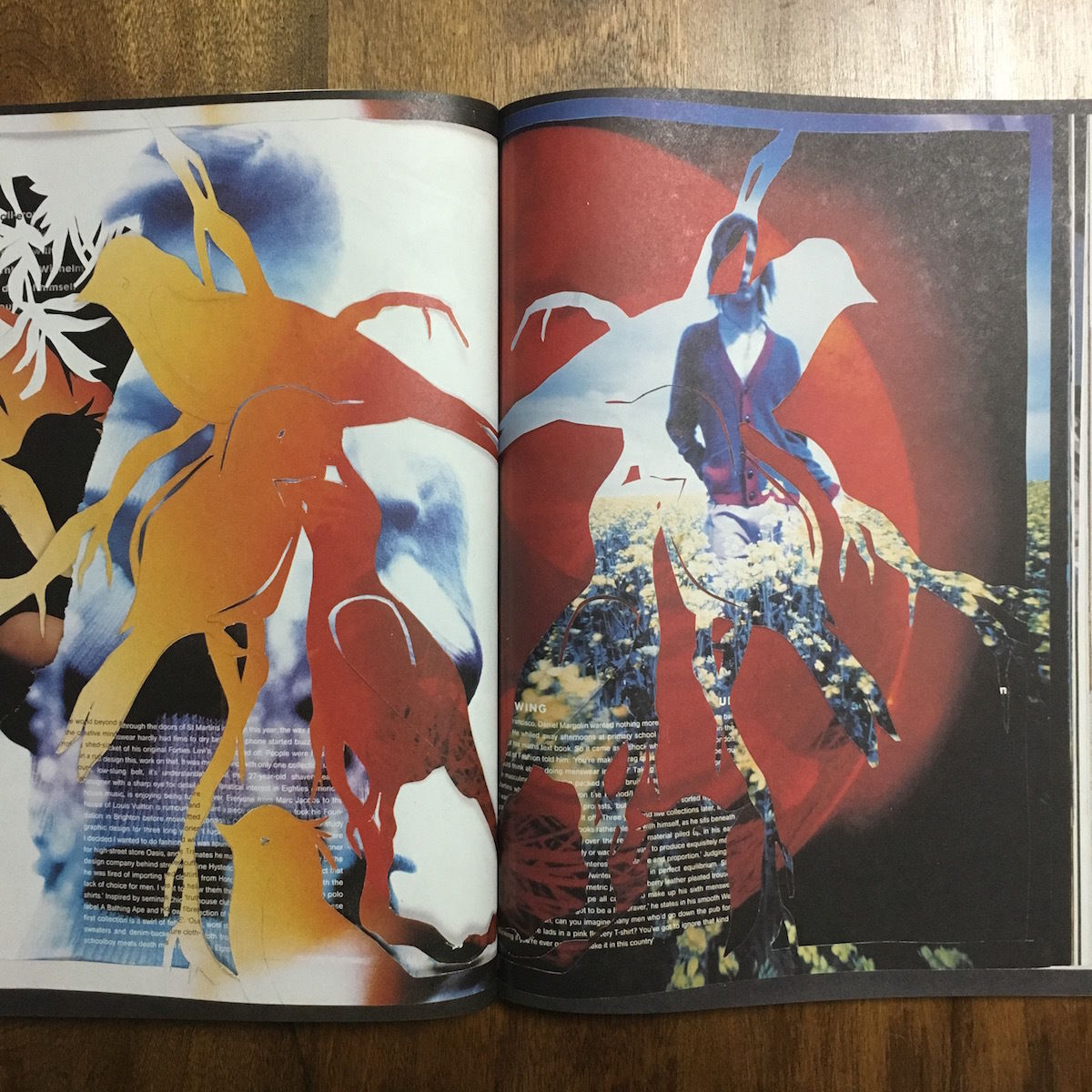 趣味・スポーツ・実用 No.B magazine Bernhard Willhelm No.B magazine Bernhard Willhelm」 Luc Tuymans W