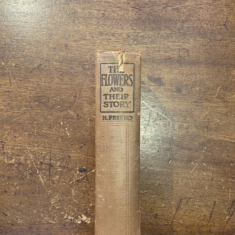 64e061d5ea1c920035f0c0eb