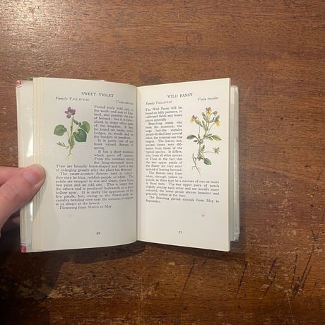 「The Observer's Book of Wild Flowers（1963年）」W. J. Stokoe