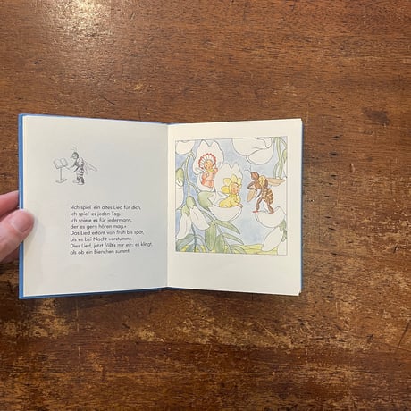「Die frohen Blumenkinder」Ida Bohatta（イーダ・ボハッタ）