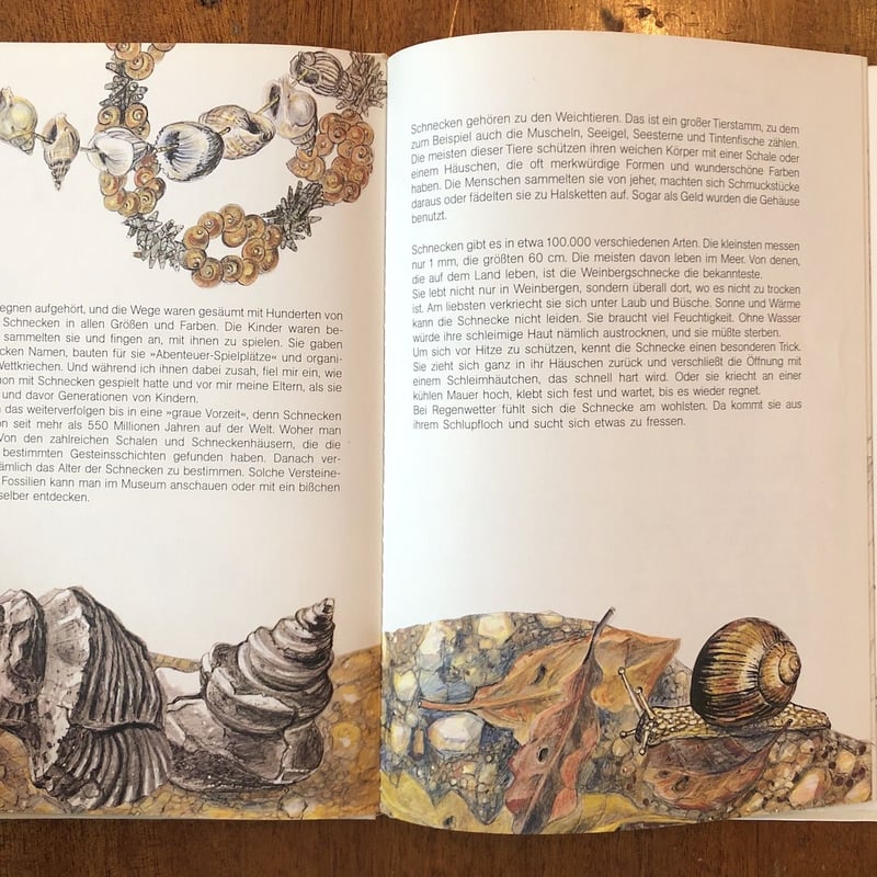 DIE WELT DER SCHNECKEN」Gerhard Oberlander（ゲルハル