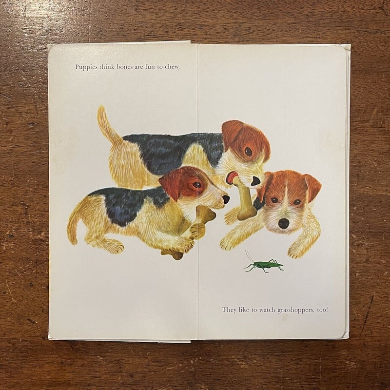 PUPPIES」Art Seiden(アート・セイデン) | Frobergue onli PUPPIES」Art Seiden(アート・セイデン) | Frobergue onli