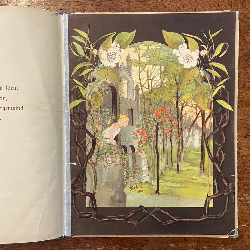 1894年　詩選集　ヴェレーナ・ソフィー　アンティーク　洋書　ドイツ　レア 1894年 詩選集 ヴェレーナ・ソフィー アンティーク 洋書 ドイツ