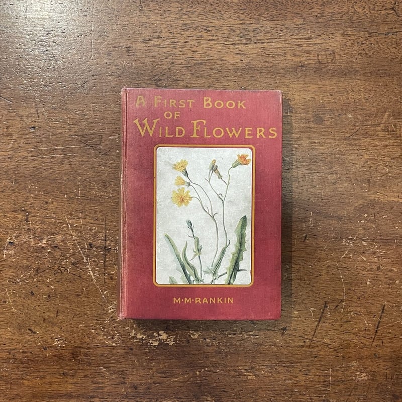 A FIRST BOOK OF WILD FLOWERS（1916年版）」M・M・Ranki