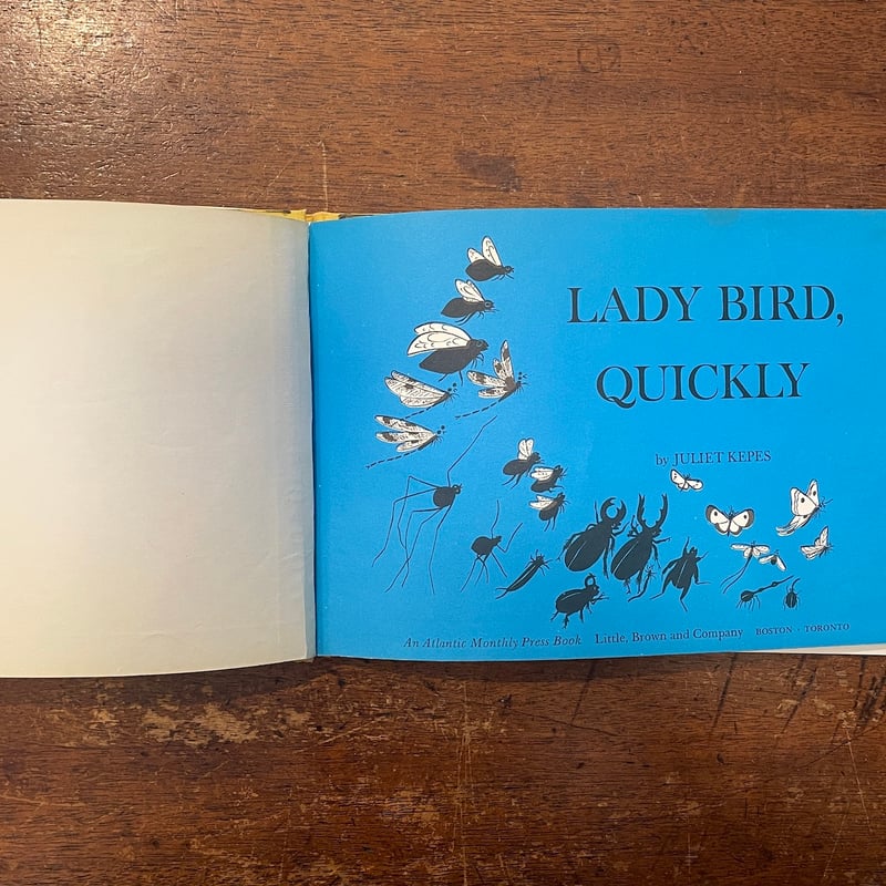 ☆ビュッフェ☆「 LADY BIRD 」　プレート付き　レゾネ図版より ☆ビュッフェ☆「 LADY BIRD 」 プレート付き レゾネ図版より