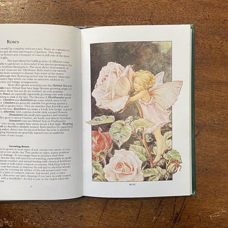「The Flower Fairies Gardening Year」Cicely Mary Barker（シシリー・メアリー・バーカー）