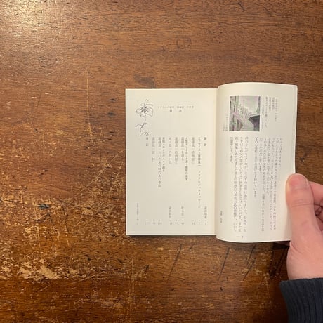 「さすらいの画家：斎藤真一の世界」斎藤裕重　イシイ省三 編