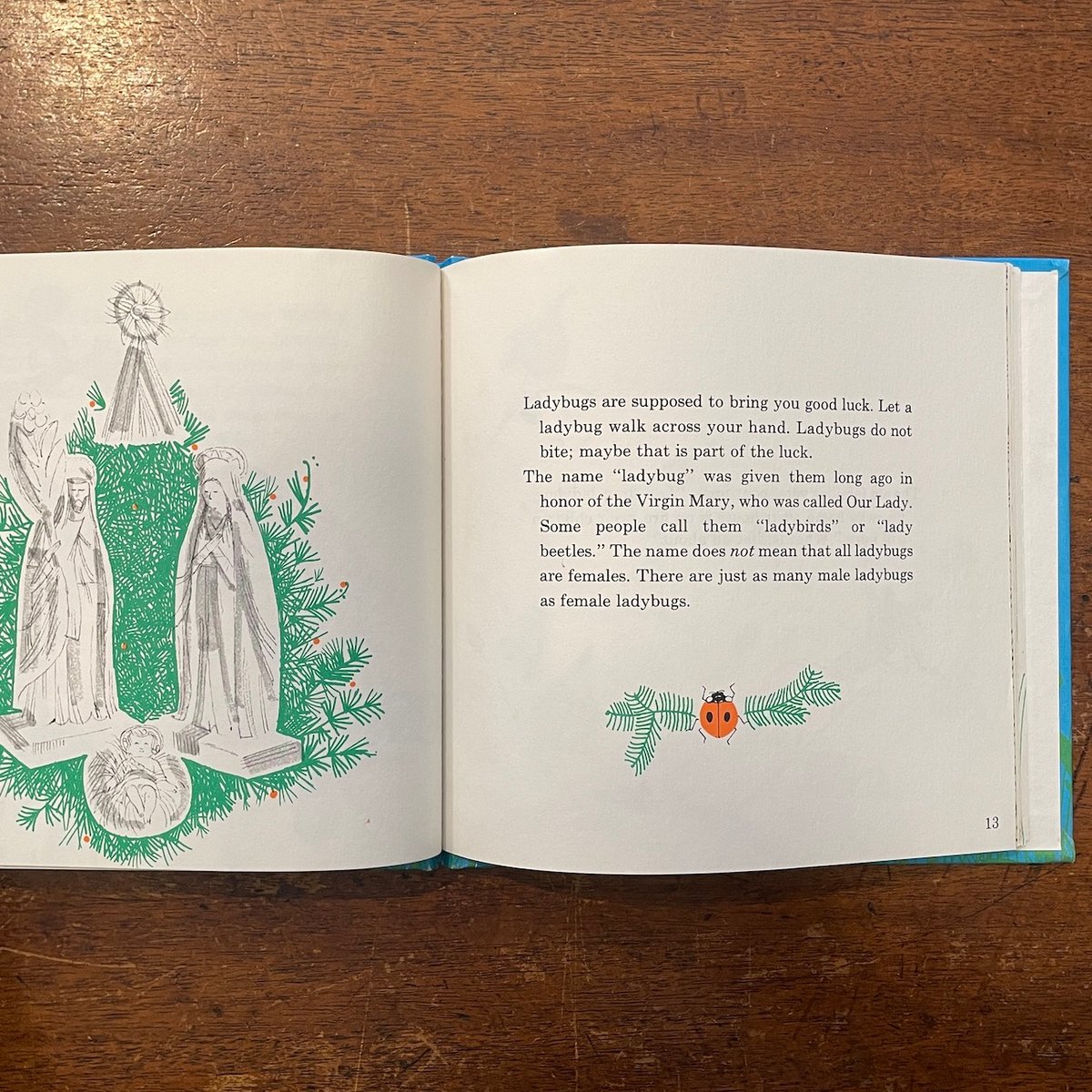 LADYBUG, LADYBUG, FLY AWAY HOME」Judy Hawes Ed