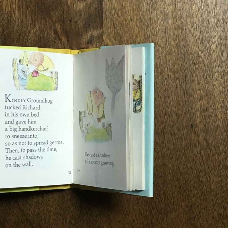 本 綺麗☆豆本☆箱入り4冊☆THE BUNNY'S NUTSHELL LIBRARY