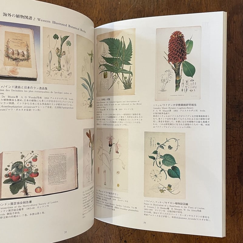 牧野富太郎 蔵書の世界」 | Frobergue online store