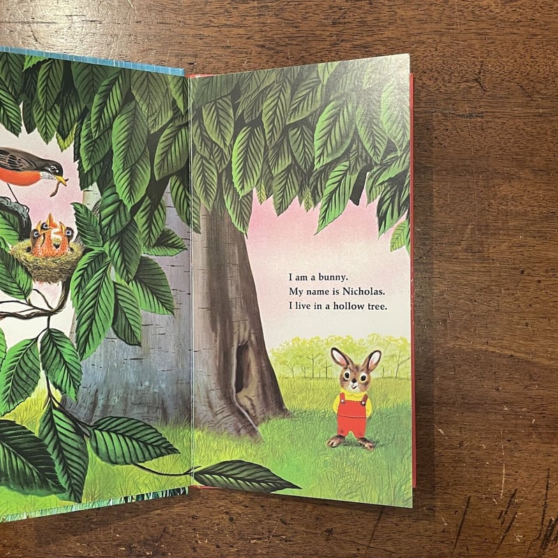 英語絵本12冊セット：I Am a Bunny, Dear Zoo など I Am a Bunny (A Golden Sturdy Book) | Vroman's Bookstore