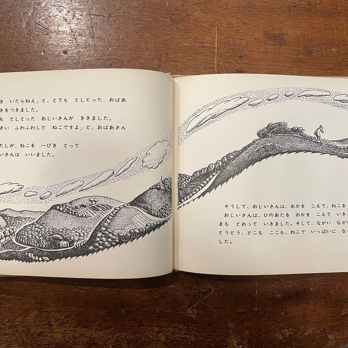 ワンダ・ガアグ 若き日の痛みと輝き―『100まんびきのねこ』の作者が残した日記 100まんびきのねこ | rescute