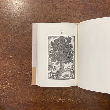 「中世ラテン語動物叙事詩　イセングリムス／狼と狐の物語」丑田弘忍 訳