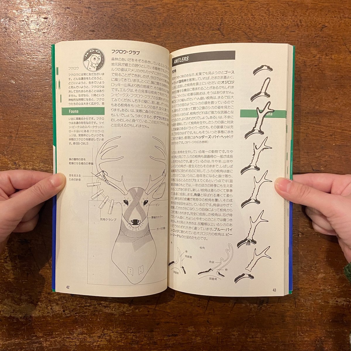 ウェルカム・トゥ・ツイン・ピークス：ツイン・ピークスの歩き方