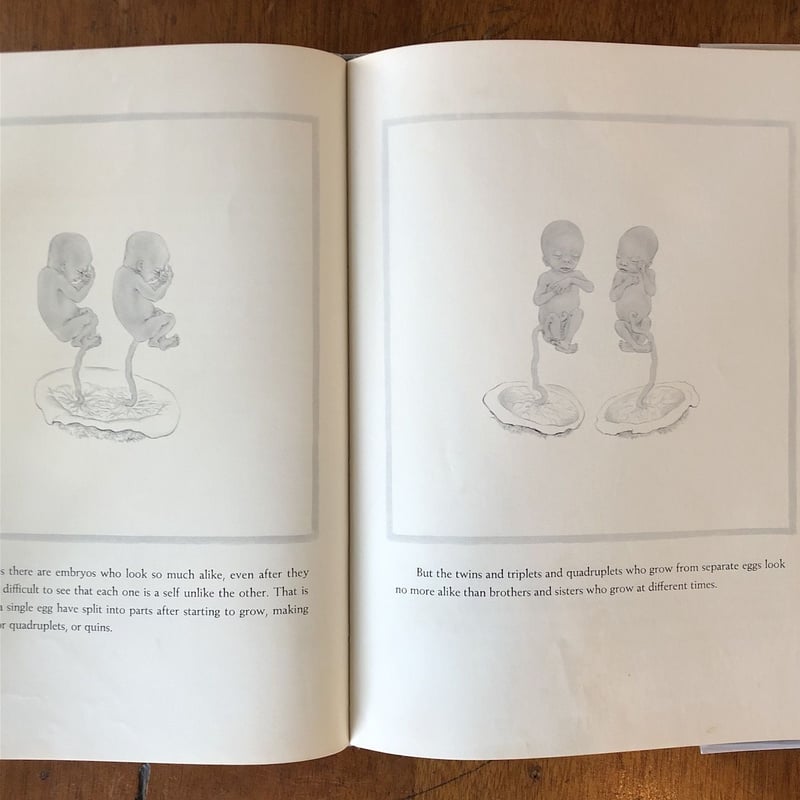 THE STORY OF A BABY（1962年6刷）」Marie Hall Ets（マリ