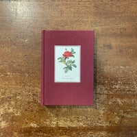 「Die Rosen　176 Farbtafeln Nach der Ausgabe von 1817-1824」Pierre-Joseph Redouté（ピエール＝ジョゼフ・ルドゥーテ）