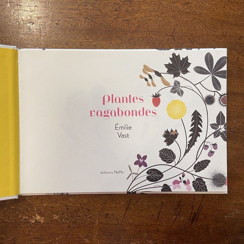 KOROKORO ÉMILIE VAST 洋書 Amazon.co.jp: Korokoro : Emilie Vast: 本