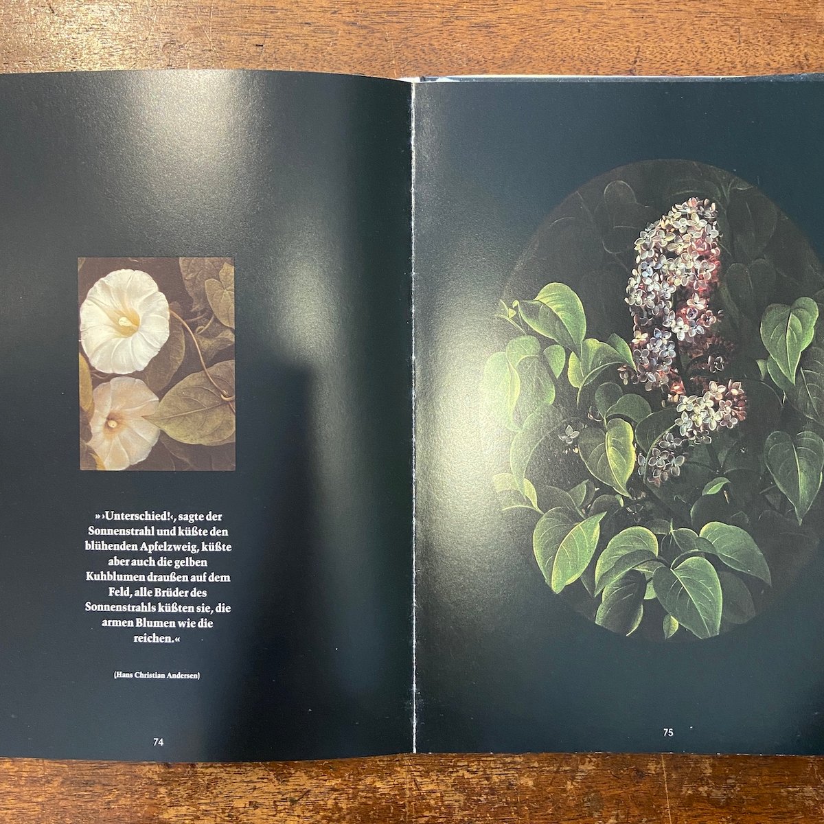 アンデルセン 詩と植物画 画集「und eine e Blume」 Und Eine Kleine Blume Muss Man Haben」Annie von