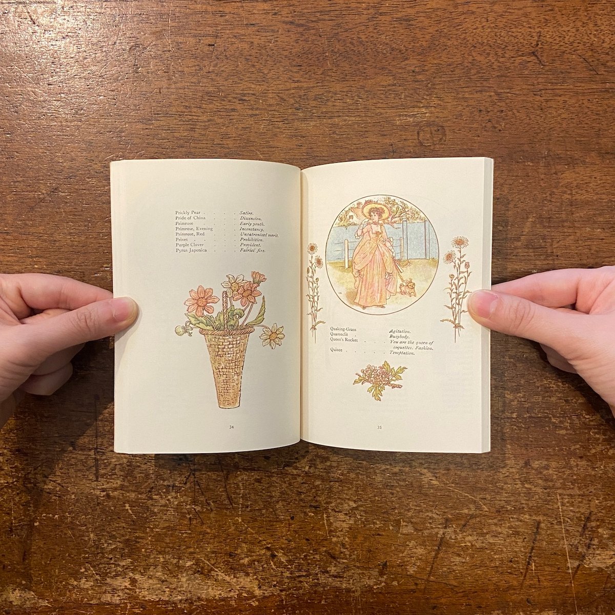 フランスアンティークサラグミンヌケイトグリーナウェイ小さなディネットスーピエール Language of Flowers」Kate Greenaway（ケイト・グリーナウェイ