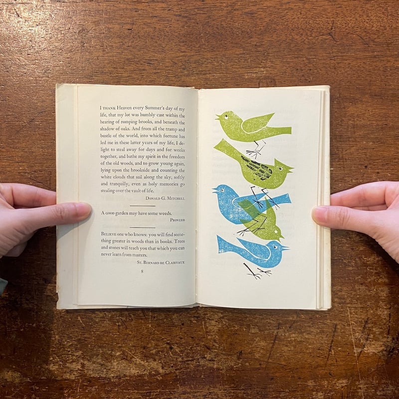 Nature Thoughts：A Selection」Louise Bachelder E