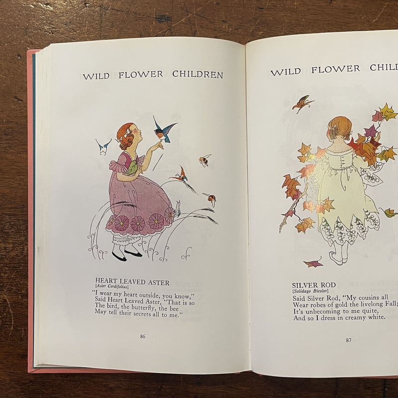 WILD FLOWER CHILDREN」Elizabeth Gordon Janet La