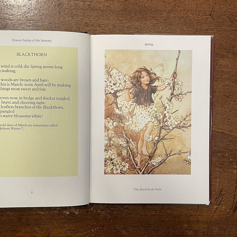 FLOWER FAIRIES OF THE SEASONS」Cicely Mary Bark