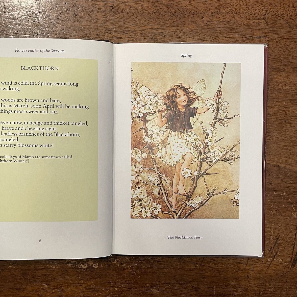 FLOWER FAIRIES OF THE SEASONS」Cicely Mary Bark