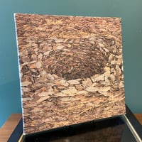 「Leafing throuth Flowers」DANIEL OST