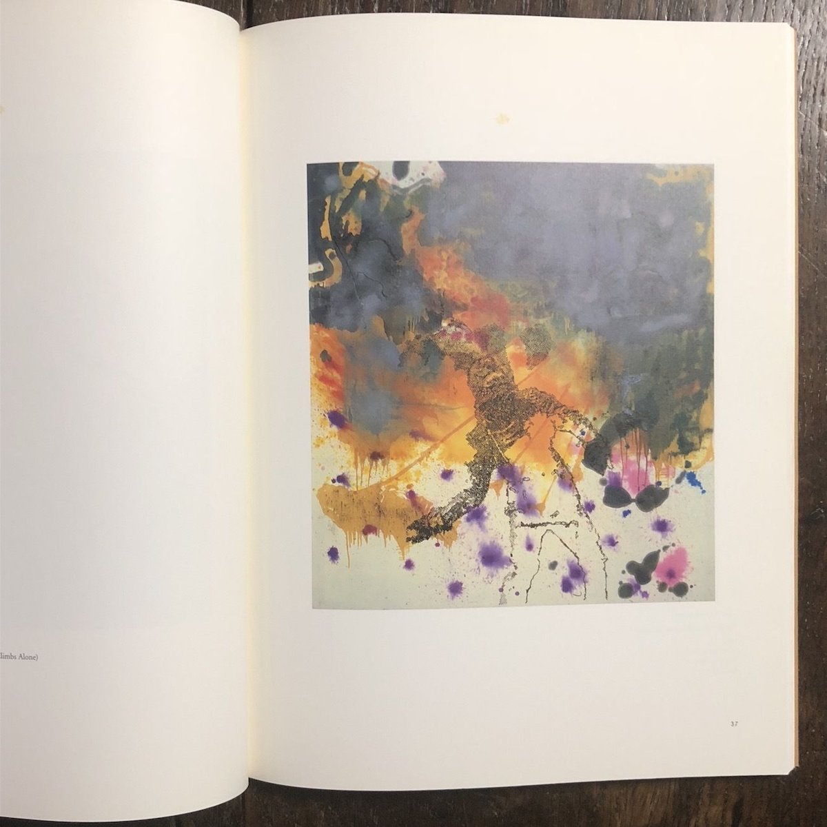 ◆G57　ジグマー・ポルケ　不思議の国のアリス　2005　図録　古書 ジグマー・ポルケ 不思議の国のアリス Sigmar Polke: Alice in