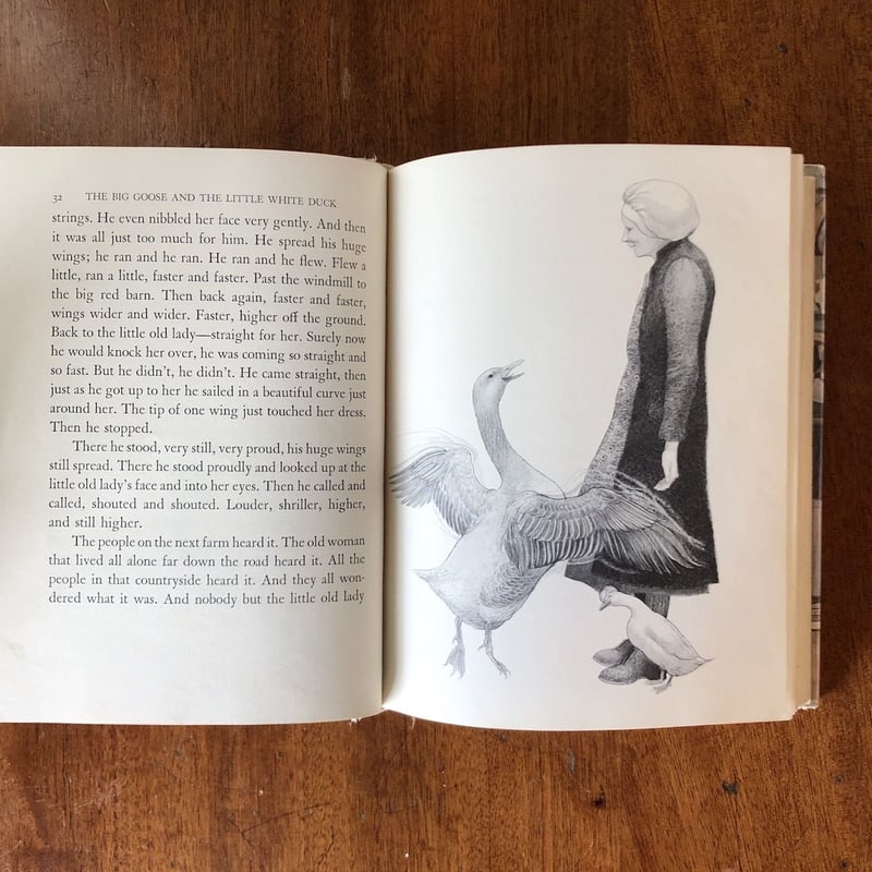 THE BIG GOOSE AND THE LITTLE WHITE DUCK」Meinde