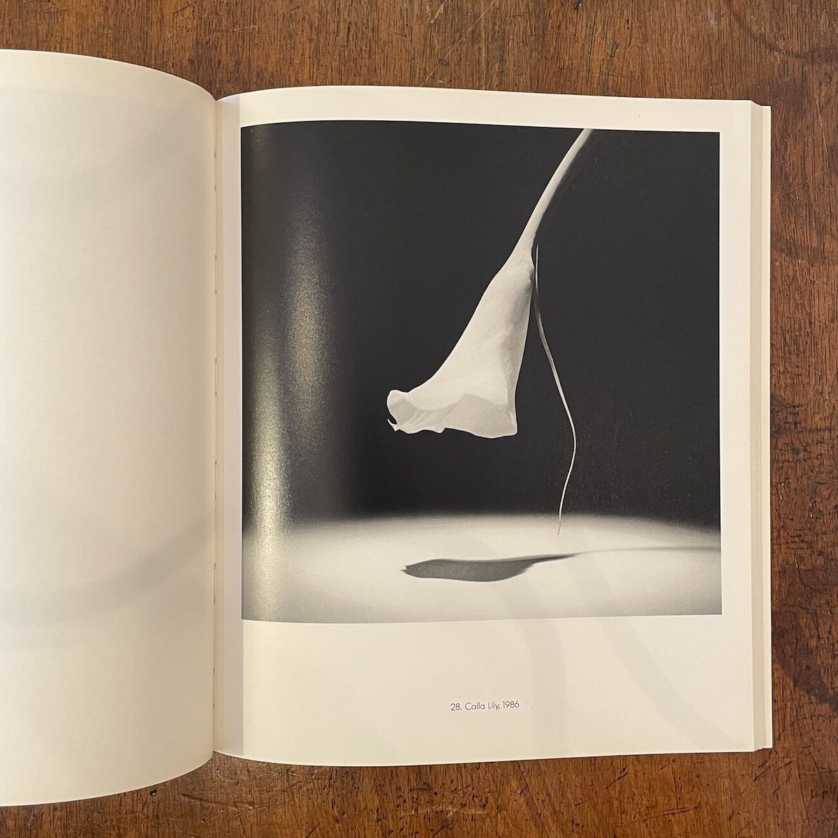 TEN BY TEN」Robert Mapplethorpe（ロバート・メイプルソープ） |