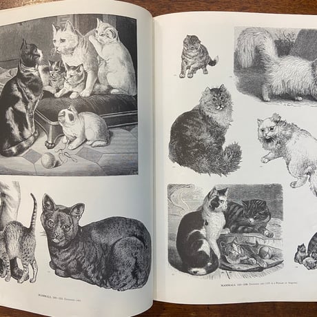 「ANIMALS：1419 Copyright-Free Illustrations」Jim Harter