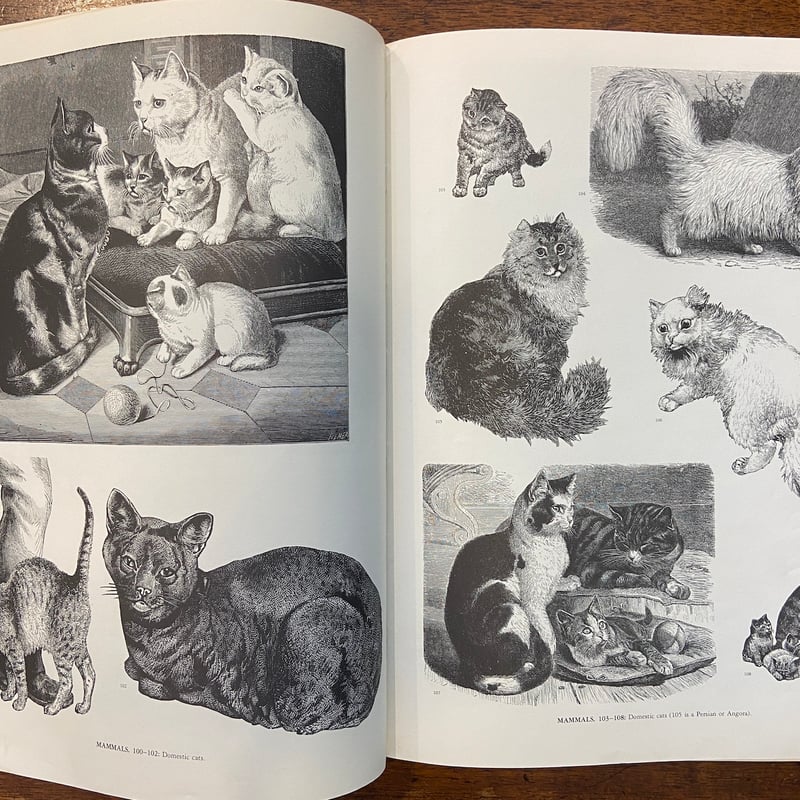 ANIMALS：1419 Copyright-Free Illustrations」Jim
