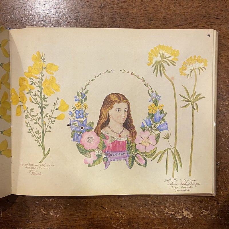 お値下げ☆洋書古書 A Victorian Flower Album 植物画 お値下げ☆洋書古書 A Victorian Flower Album 植物画 お値下げ