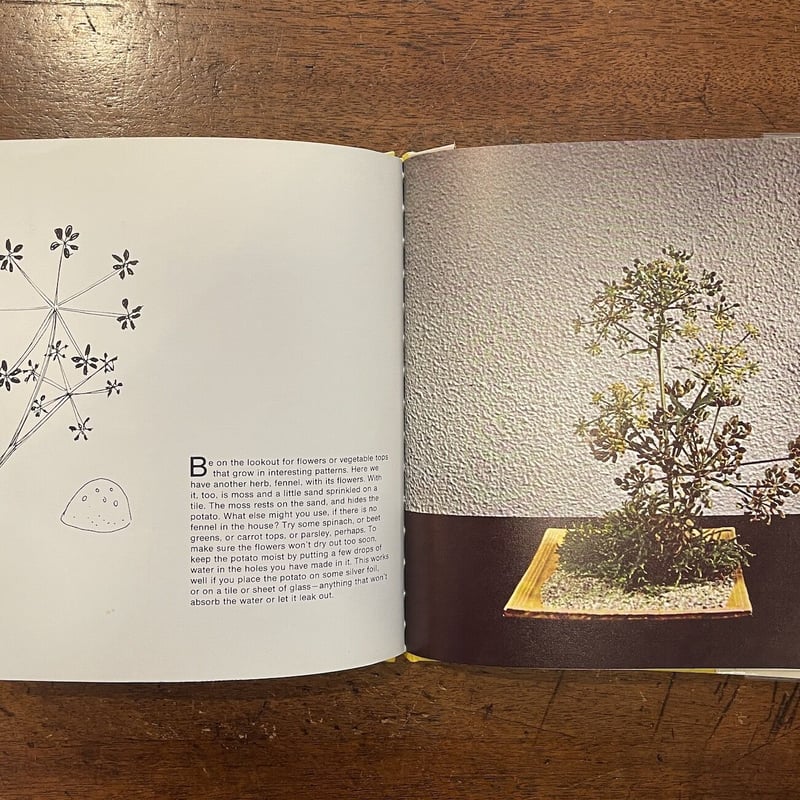 A FLOWER WITH LOVE（1974年1刷）」Bruno Munari（ブルーノ・