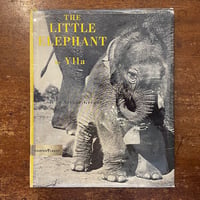 「THE LITTLE ELEPHANT」Ylla（イーラ）