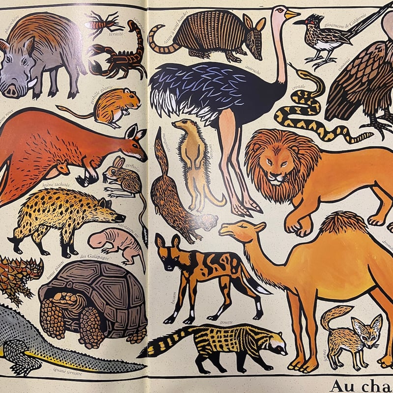 絵本　フランス語版　Zoo logique ZOO LOGIQUE」Joelle Jolivet（ジョエル・ジョリヴェ） | Frobe