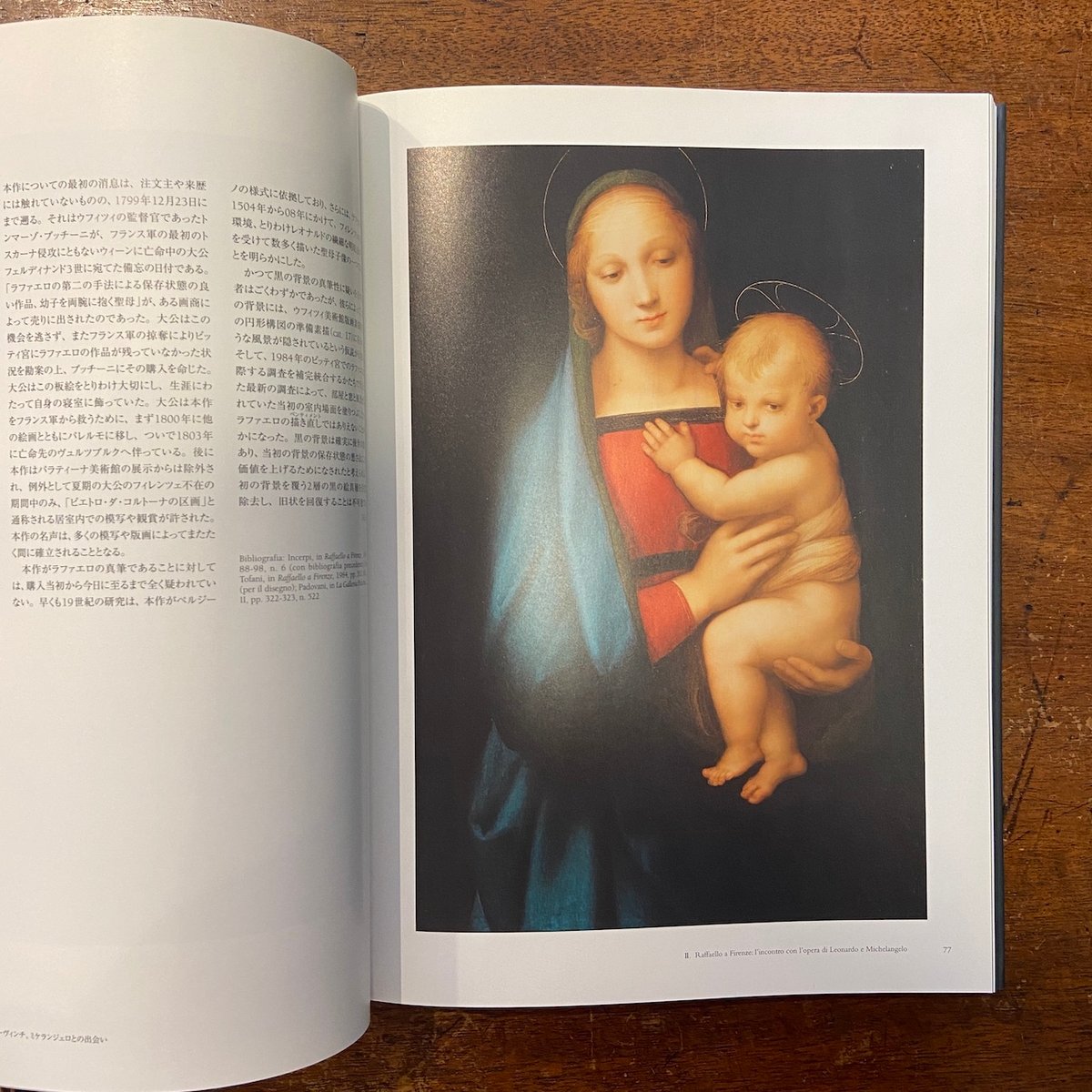 Late Raphael ラファエル ラファエロ プラド美術館 カタログ ラファエロ展 図録」国立西洋美術館 | Frobergue online store