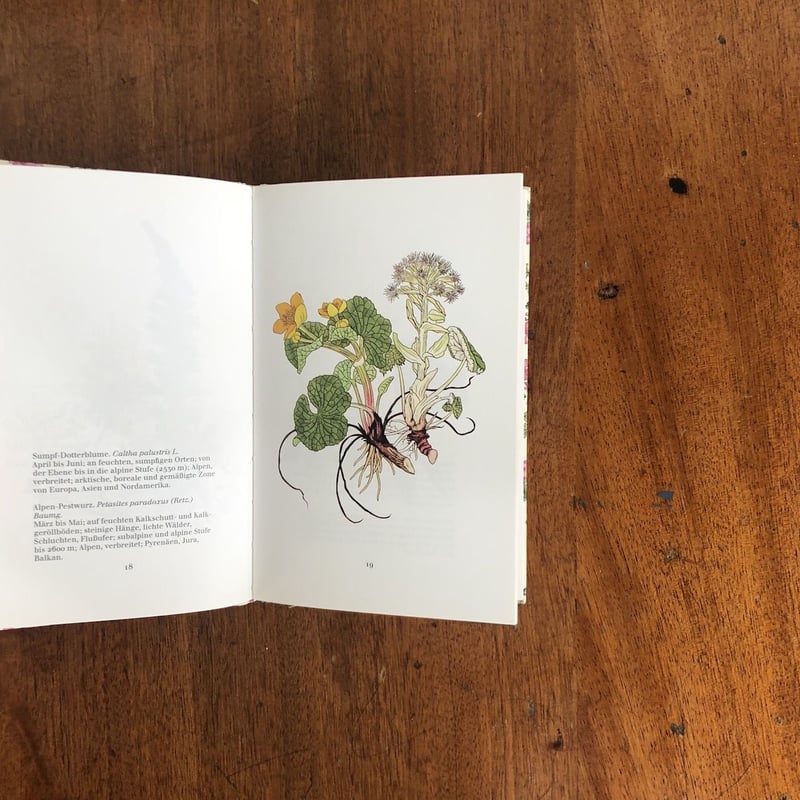 Alpenblumen im Fruhling（インゼル文庫 No.1142）」Josef