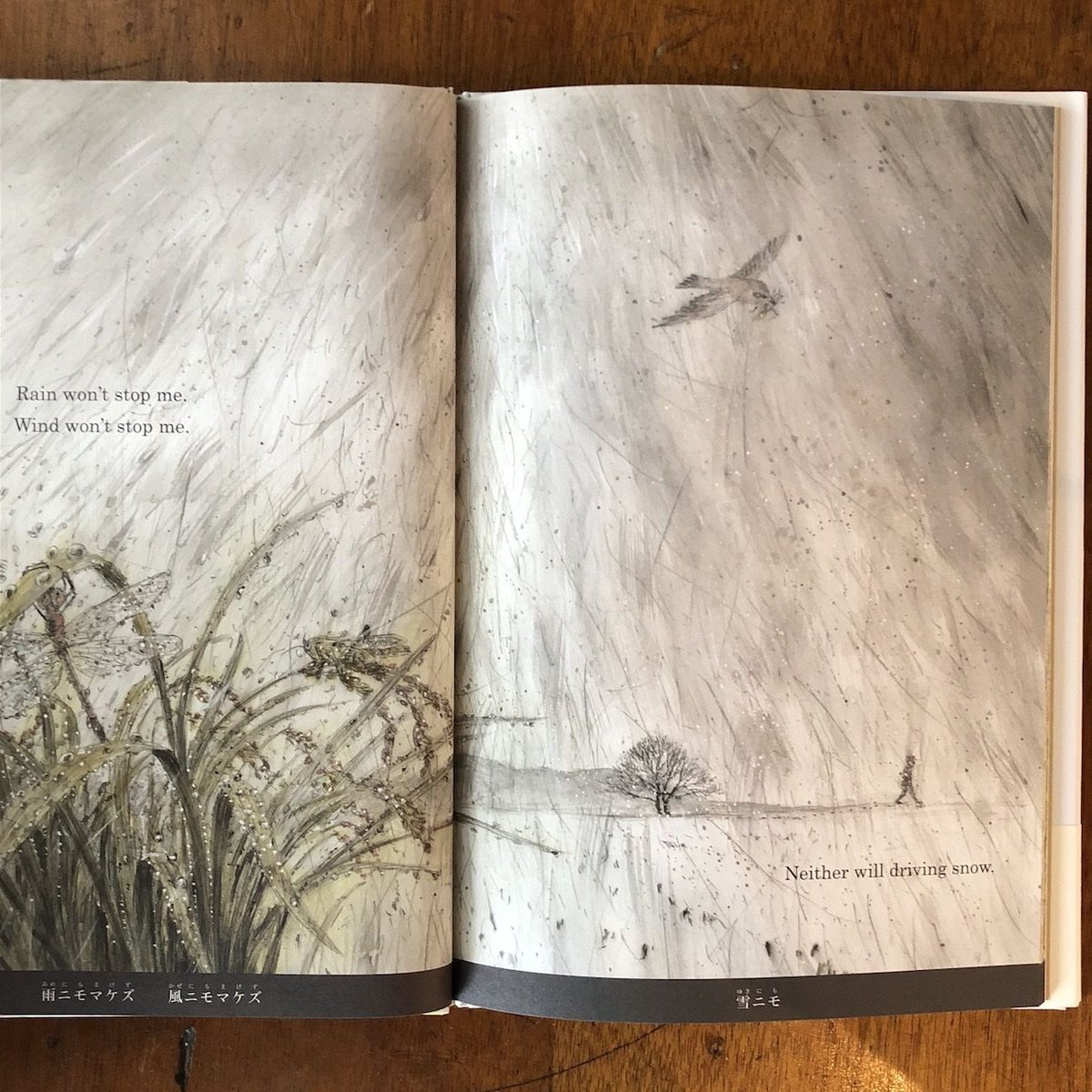 Rain Won't」宮沢賢治 アーサー・ビナード 英語 山村浩二 絵 | Frobergu