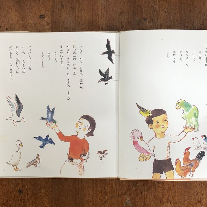つかまえられたことりちゃん かこさとし 絵本 編集室より | かこさとし 公式webサイト