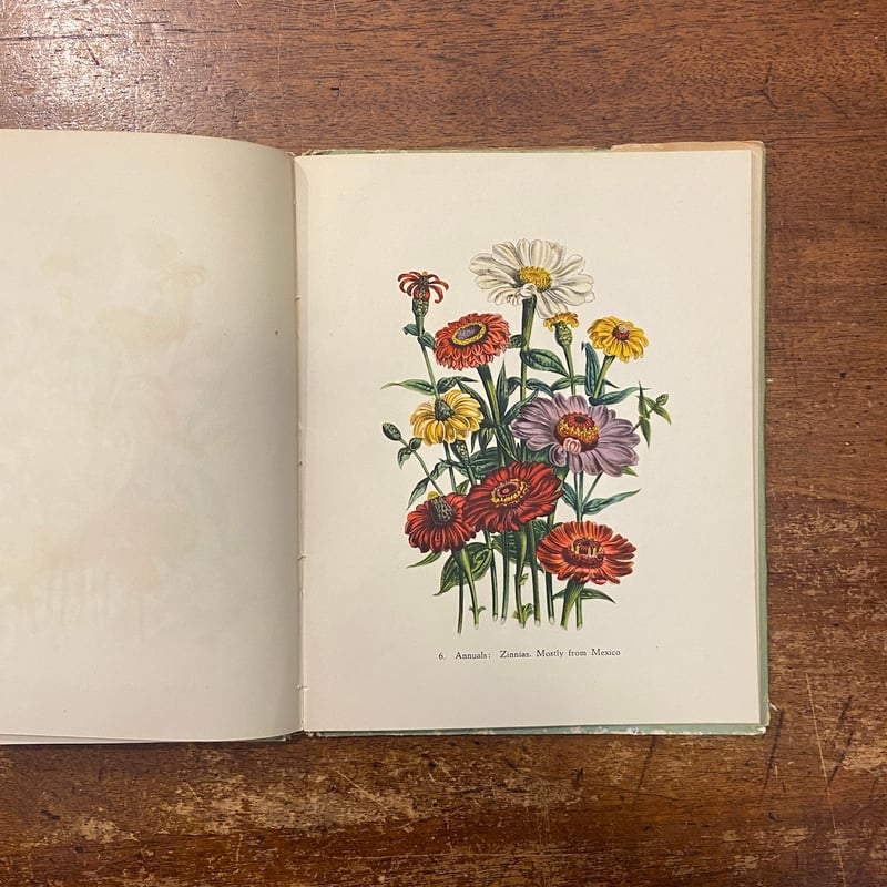 Garden Flowers（1948年）」Jane Loudon Robert Gatho