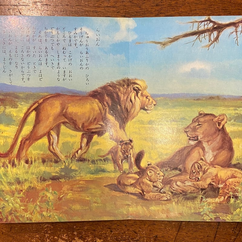 せかいのどうぶつ／トツパンのこども絵本28（1962年）」小田忠